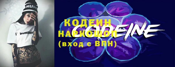 гидра Киренск