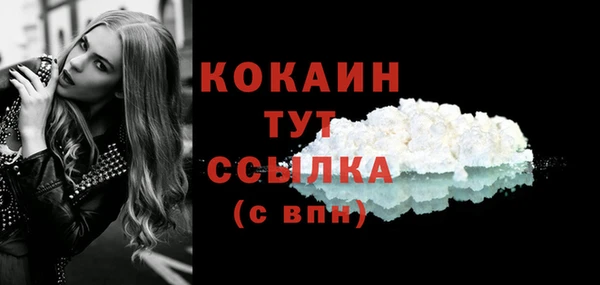 гидра Киренск