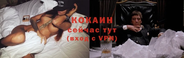 дурь Киреевск