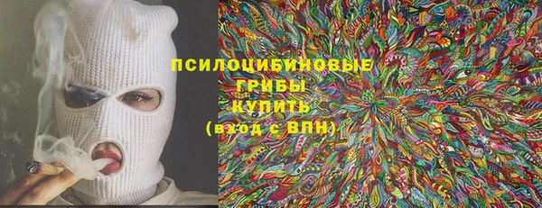 дурь Киреевск