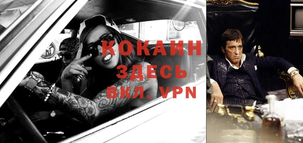 гидра Киренск