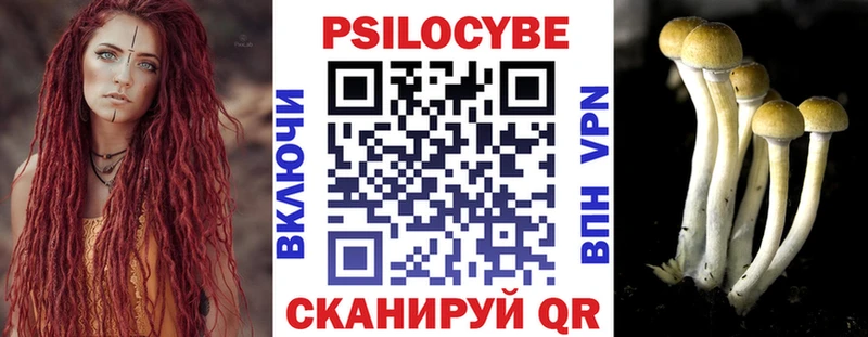 Галлюциногенные грибы ЛСД  blacksprut сайт  Чебоксары 