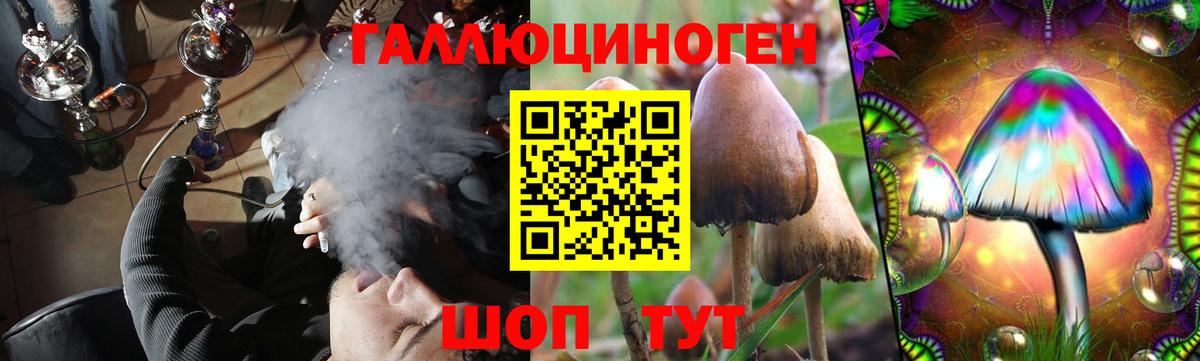 Псилоцибиновые грибы Psilocybine cubensis  Вход с VPN  Чебоксары  Галлюциногенные грибы ЛСД 
