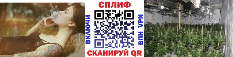 Марихуана индика купить Чебоксары